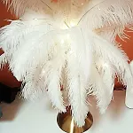 Alex Botique וארנה