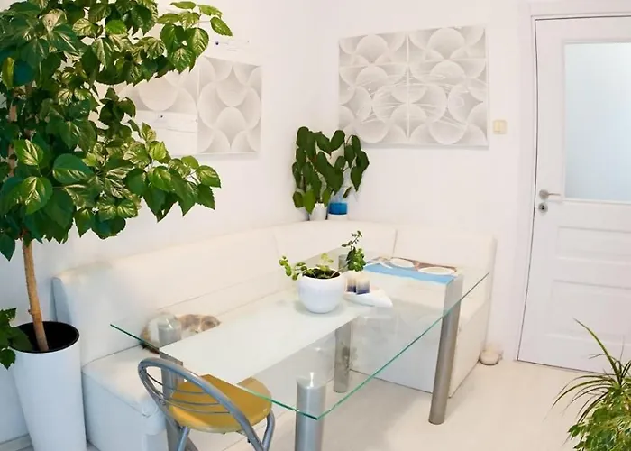 Alex Botique Варна