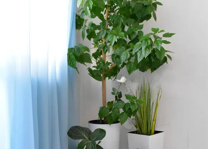 Alex Botique شقة فارنا