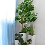 Alex Botique Apartmán Varna